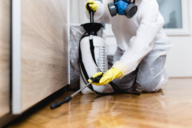 Best Affordable Pest Control Services  in Walce, LA