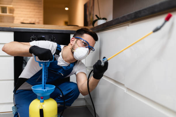 Best Pest Removal Services  in Walce, LA