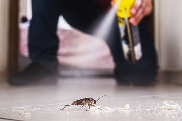 Best Cockroach Control Services  in Walce, LA