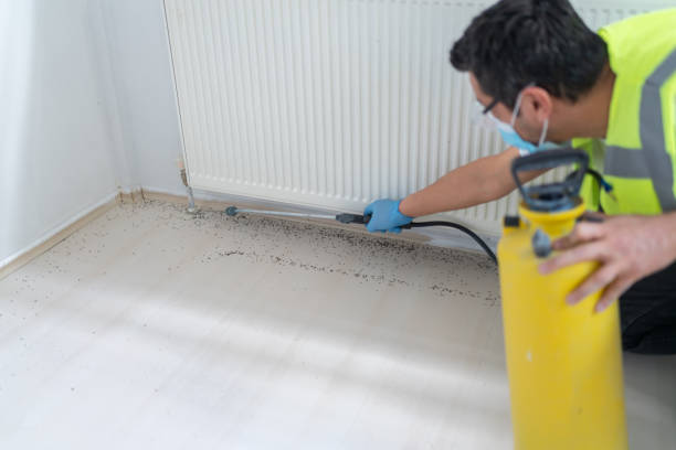 Professional Pest Control in Wallace, LA